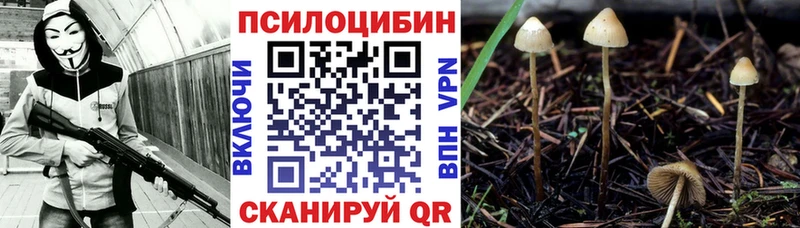 Галлюциногенные грибы MAGIC MUSHROOMS Махачкала
