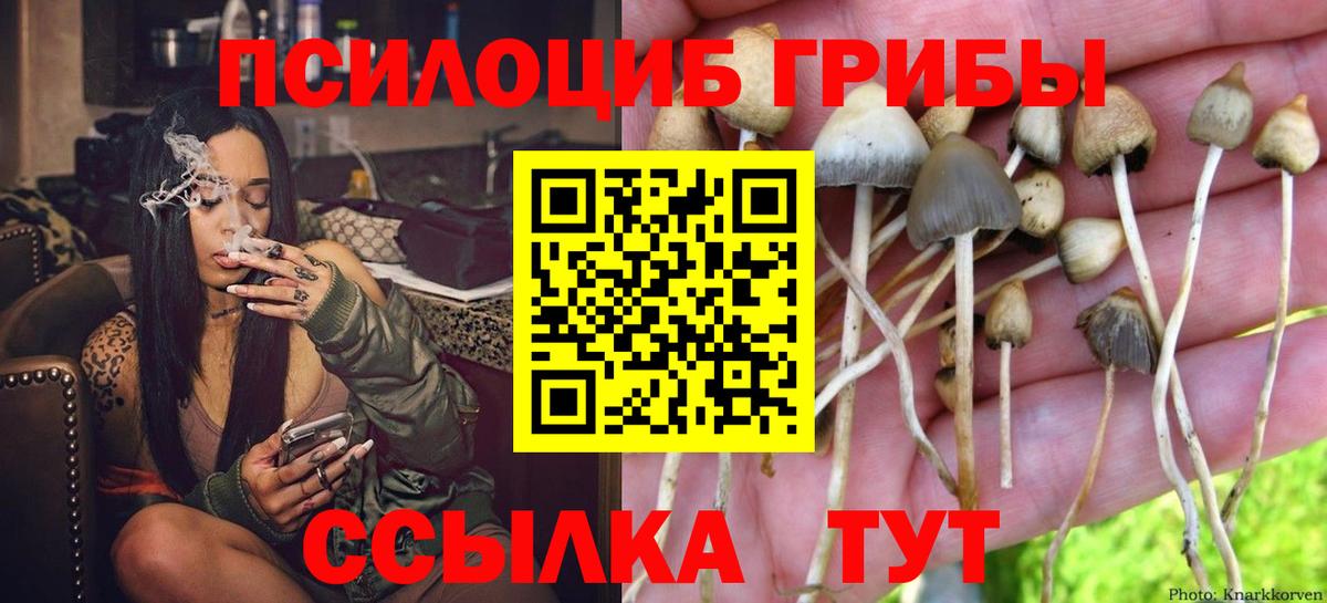 Псилоцибиновые грибы ЛСД  Вход с VPN  Галлюциногенные грибы мухоморы  Махачкала 